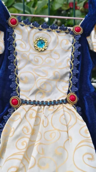 Disfraz Princesa Niña Atosa