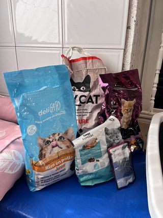 Accesorios para gato: cama, transportín y comida