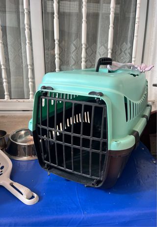 Accesorios para gato: cama, transportín y comida