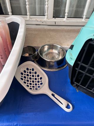 Accesorios para gato: cama, transportín y comida