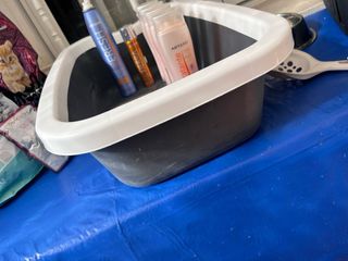 Accesorios para gato: cama, transportín y comida