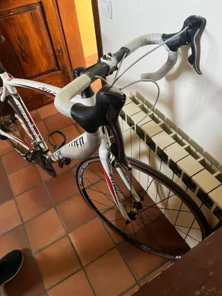 Specialized Allez Elite Carretera Blanca