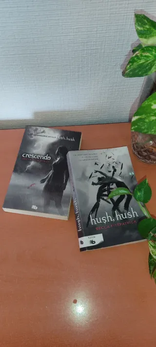 Libro Novela Romantica "Crescendo".