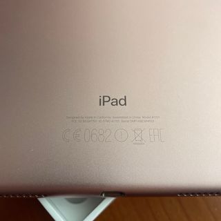 iPad Pro 10.5 256GB Rosa