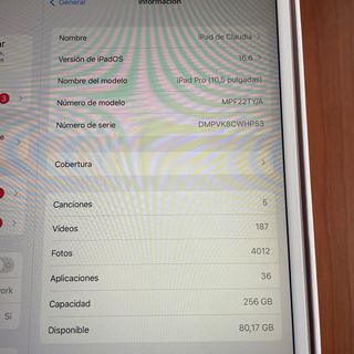 iPad Pro 10.5 256GB Rosa