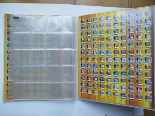 Álbum Pokémon Staks 2006 Panini