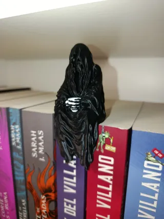 Decoración librería Suriel