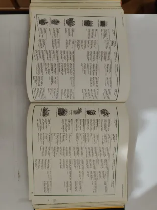 Illustrazione per come fare giardinaggio