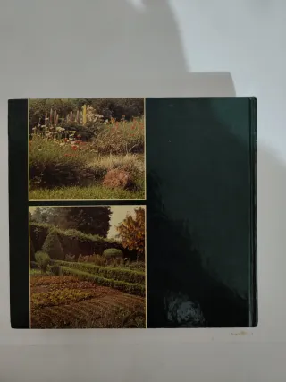 Illustrazione per come fare giardinaggio