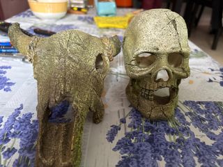Decoración acuario calavera y búfalo