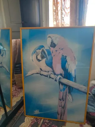 Cuadro de loros en rama