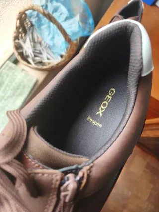 Geox tênis originais Castanhos