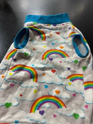 Chaleco para gato con arcoíris