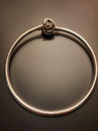 Bracciale rigido Pandora Moments 593229C01-17