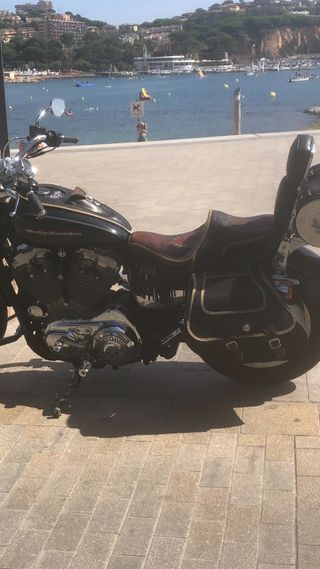 Alforjas HD Sportster con hueco amortiguadores