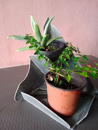 Jardinera Metálica Decorativa