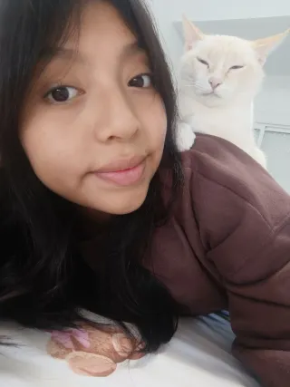 Paseadora de perros y cuidadora en alicante.