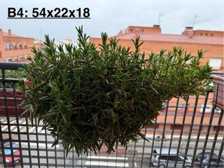 3 Jardineras + Platos + Soportes + Plantas