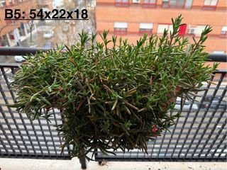 3 Jardineras + Platos + Soportes + Plantas