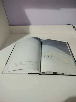 Bi otso zuri (HAURRENTZAKO ALBUMAK)