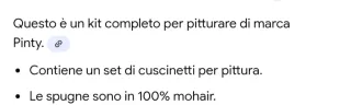 Kit Pittura Pinty Completo