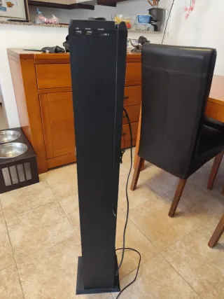 Torre de Sonido con Radio