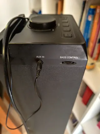 Torre de Sonido con Radio