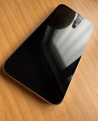 iPhone 13 Pro 256GB Dorado/Plateado