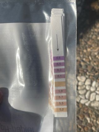 Tiras de pH Brouwland 5,2-6,8