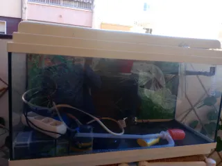 Pecera 80L (tamaño 80cm largox50cm alto)