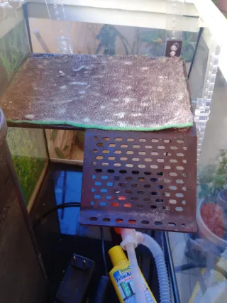 Pecera 80L (tamaño 80cm largox50cm alto)