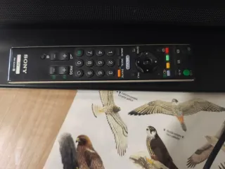 TV Sony Bravia 32'' con mando