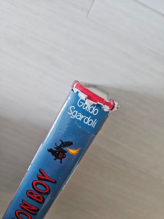 DRAGON BOY (Spanish Edition)