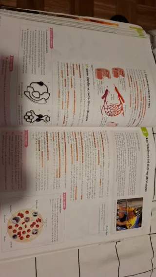 Lote libros Bachiller