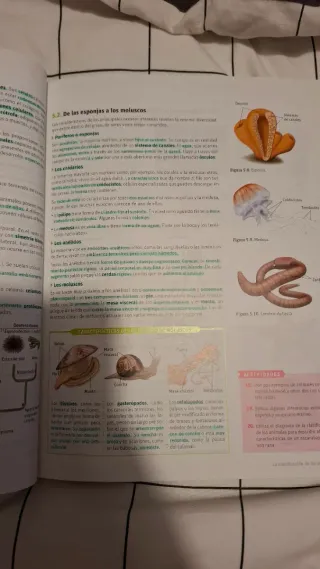 Lote libros Bachiller