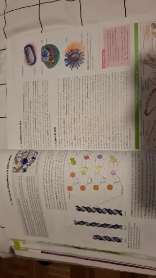 Lote libros Bachiller