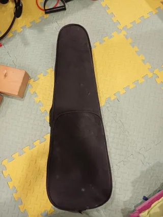 Funda de violín