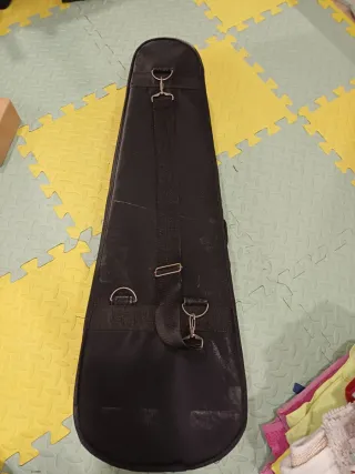 Funda de violín