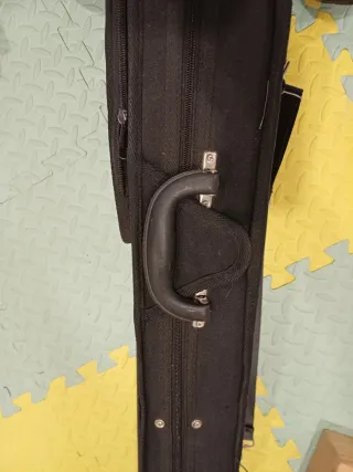Funda de violín
