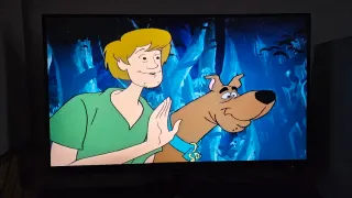 DVD Scooby-Doo Incontra Batman