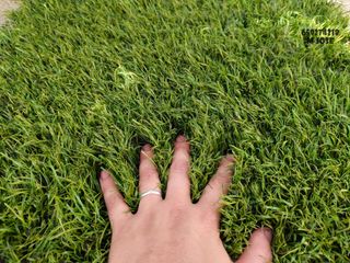 Césped artificial reciclado