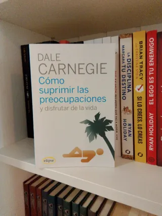 Cómo suprimir las preocupaciones y disfrutar de...