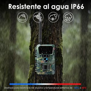 Cámara Fototrampeo WOLFANG 4G 48MP 2K