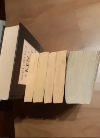 2 libros Ken Follett (Español)