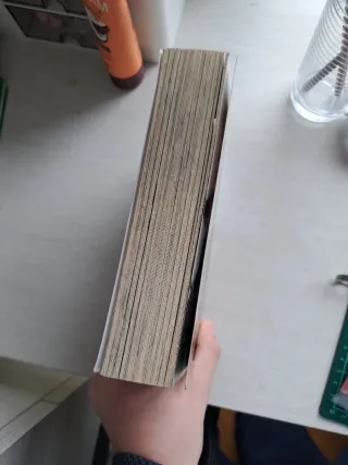 Sword Art Online: Aincrad - manga (Sword Art On...