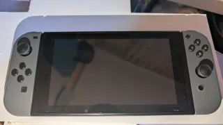 Nintendo Switch Gris