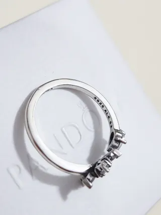 Anillo Pandora abierto Herbario Brillante. T/52