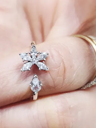 Anillo Pandora abierto Herbario Brillante. T/52