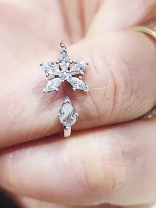 Anillo Pandora abierto Herbario Brillante. T/52