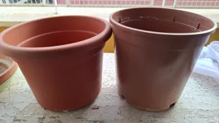 Maceta barro terracota y plástico con cactus